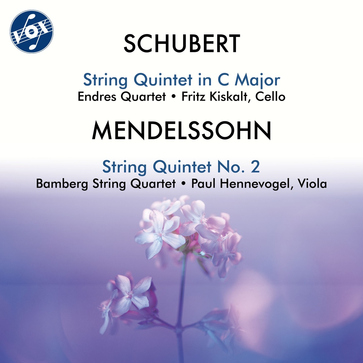 Schubert: String Quintet in C Major, Op. 163, D. 956 - Mendelssohn: String Quintet No. 2 in B-Flat Major, Op. 87, MWV R 33 by Paul Hennevogel, Fritz Kiskalt, Endres Quartet & Bamberg String Quartet album cover
