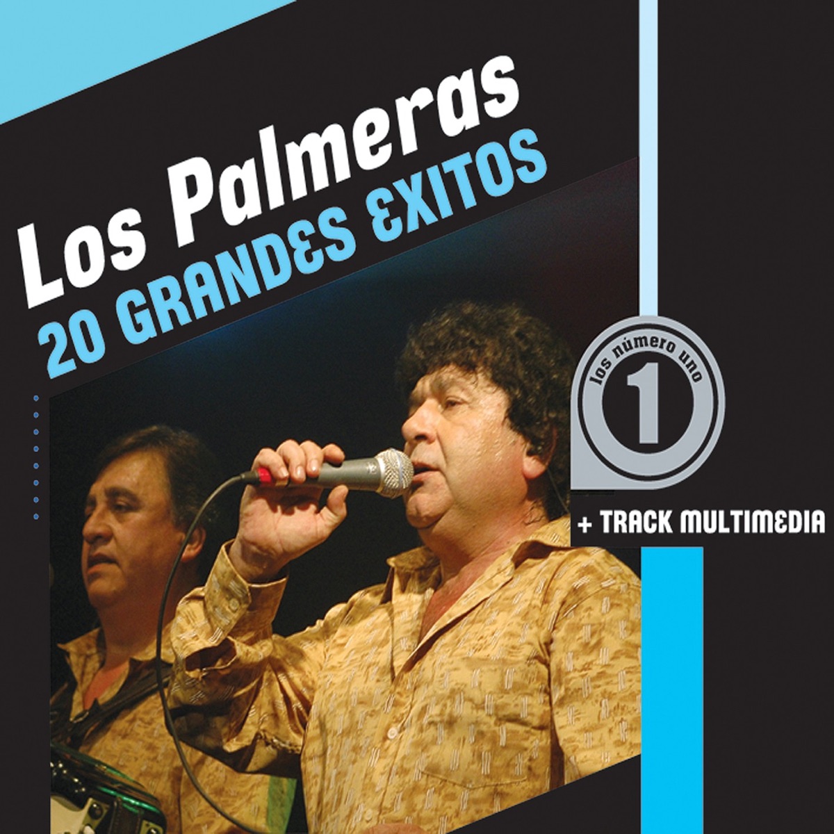 20 Grandes Exitos by Los Palmeras album cover
