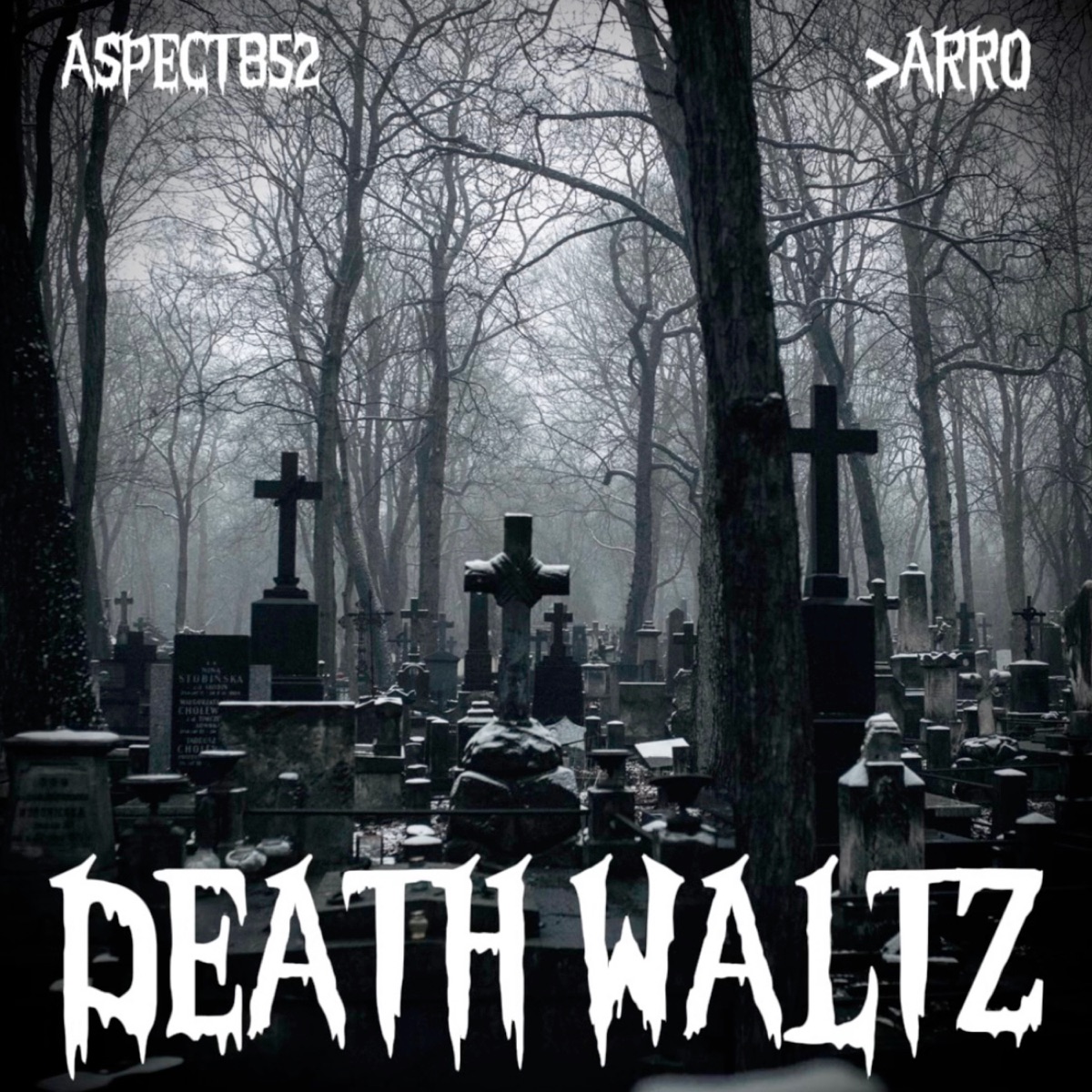 Death Waltz - Single by >aRRO & Aspect852 album cover