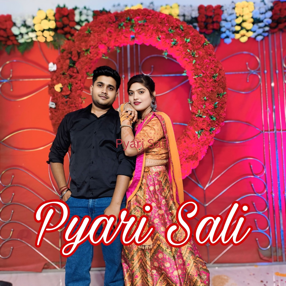 Pyari Sali - Single by Tannu sikarwar & Sunny sikarwar album cover