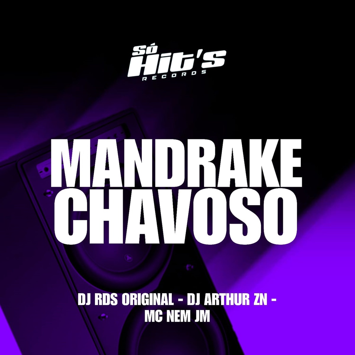 Mandrake Chavoso - Single by DJ RDS ORIGINAL, DJ ARTHUR ZN & Mc Nem Jm album cover