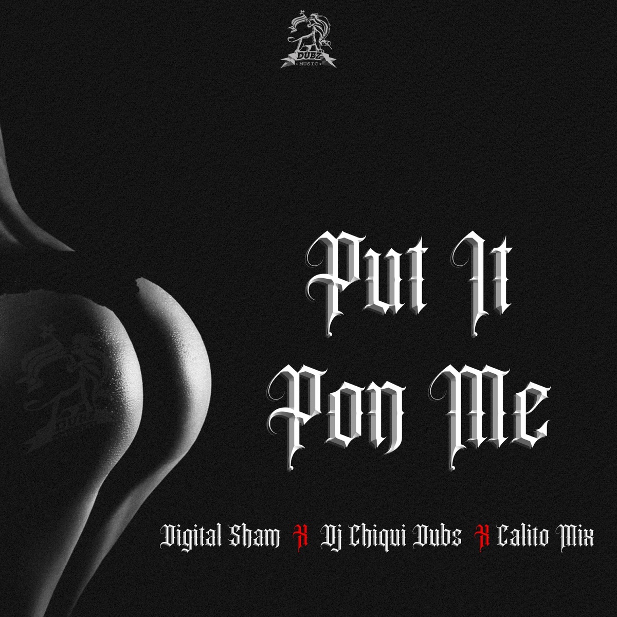 Put It Pon Me - Single by Digital Sham, DJ Chiqui Dubs & Calito Mix album cover