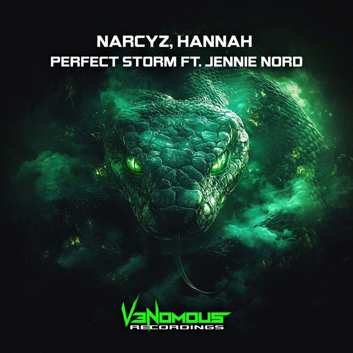 Perfect Storm - Single by Narcyz, HANNAH & Jennie Nord album cover
