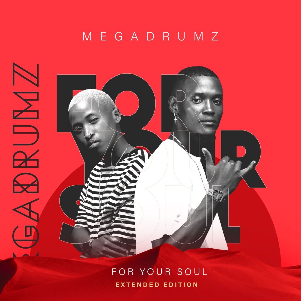 For Your Soul (Extended Edition) by MEGADRUMZ album cover