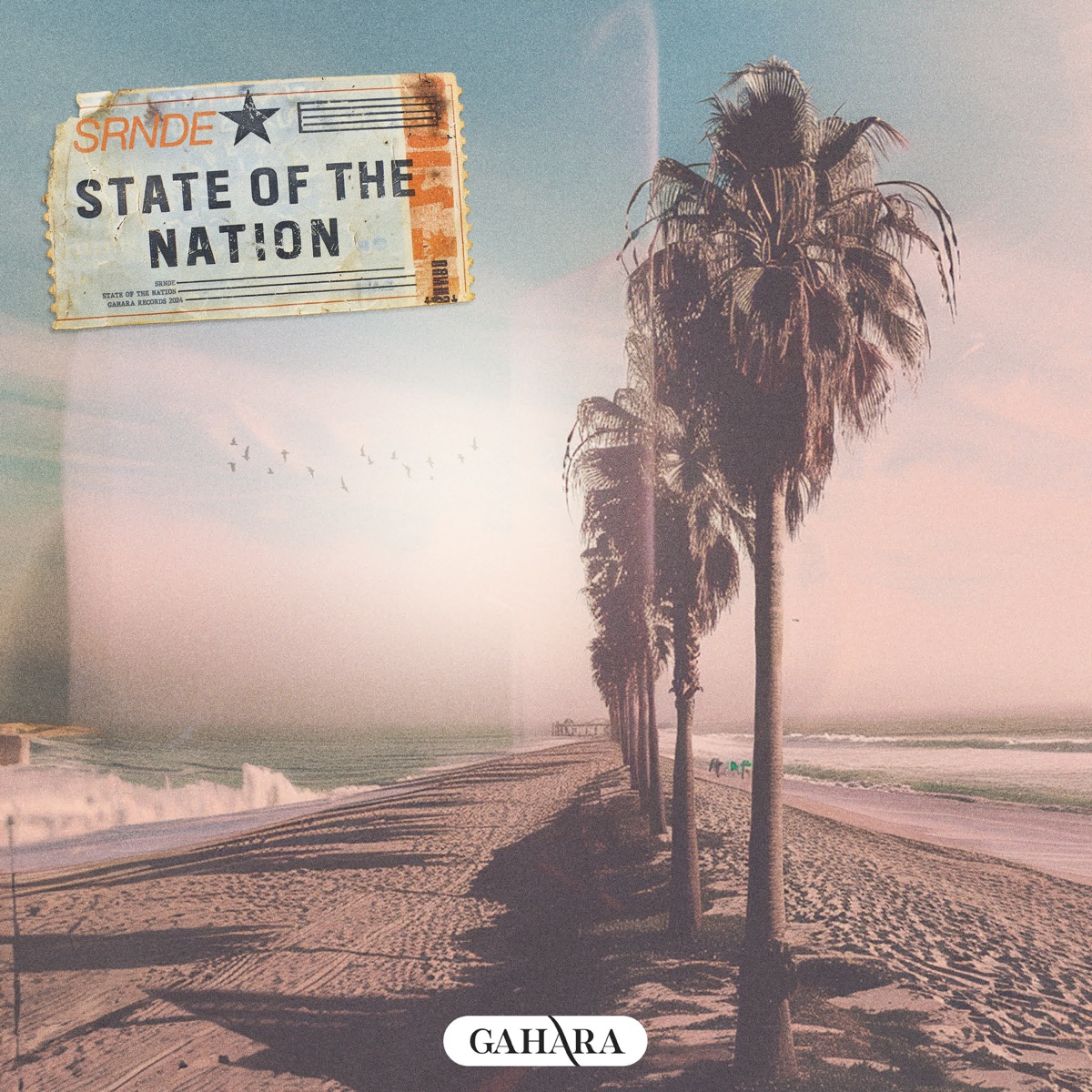 State Of The Nation - Single by SRNDE album cover
