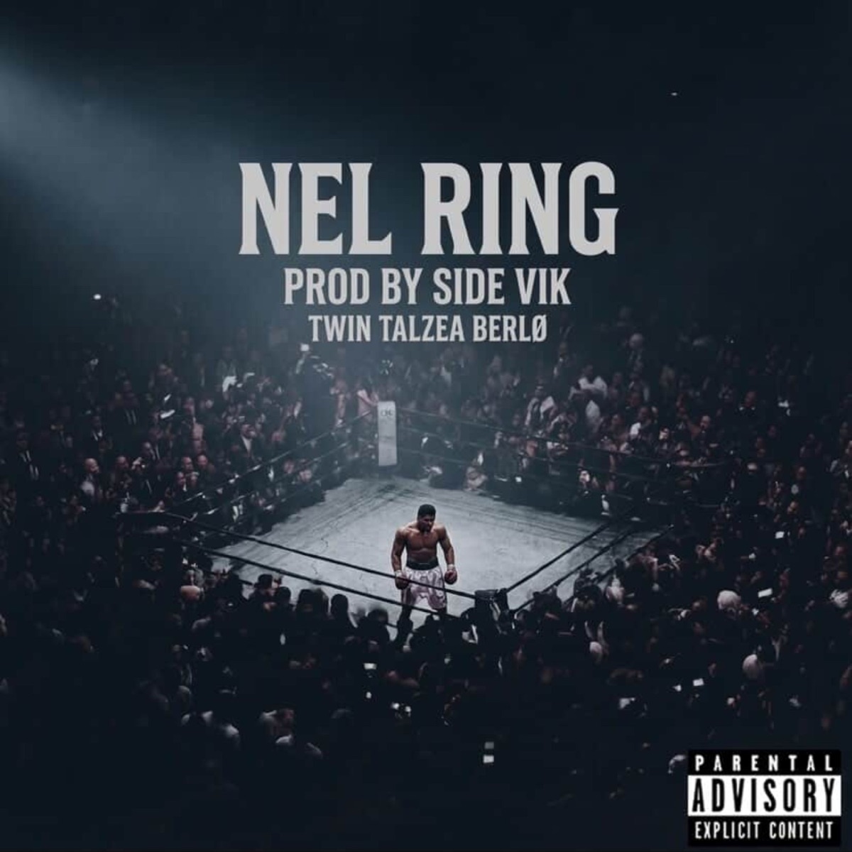 NEL RING (feat. Talzea, Twin & Berlo) - Single by Side Vik album cover