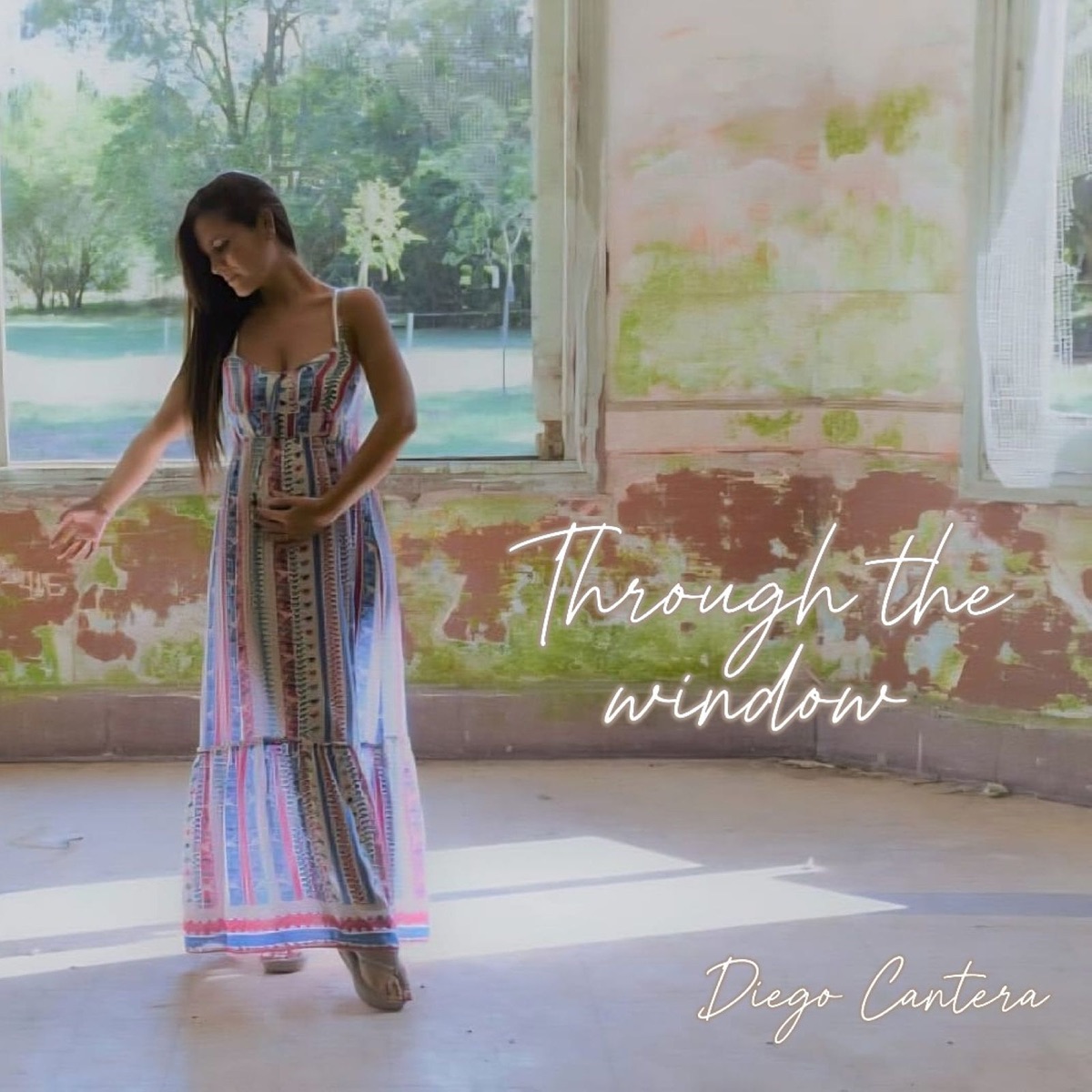 Through the Window (feat. Loana) - Single by Diego Cantera album cover