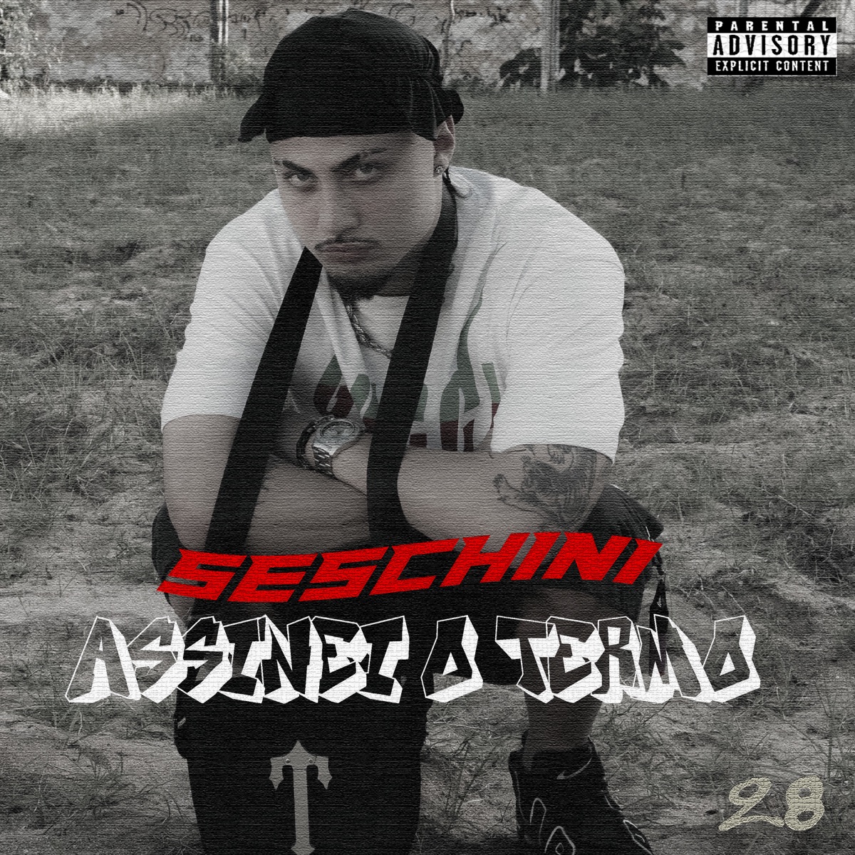 Assinei o Termo - Single by Seschini & BTT album cover