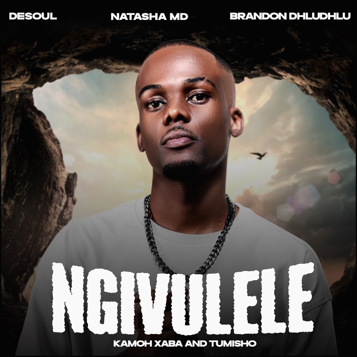 Ngivulele (feat. Kamoh Xaba & Tumisho) - Single by De Soul, Natasha MD & Brandon Dhludhlu album cover