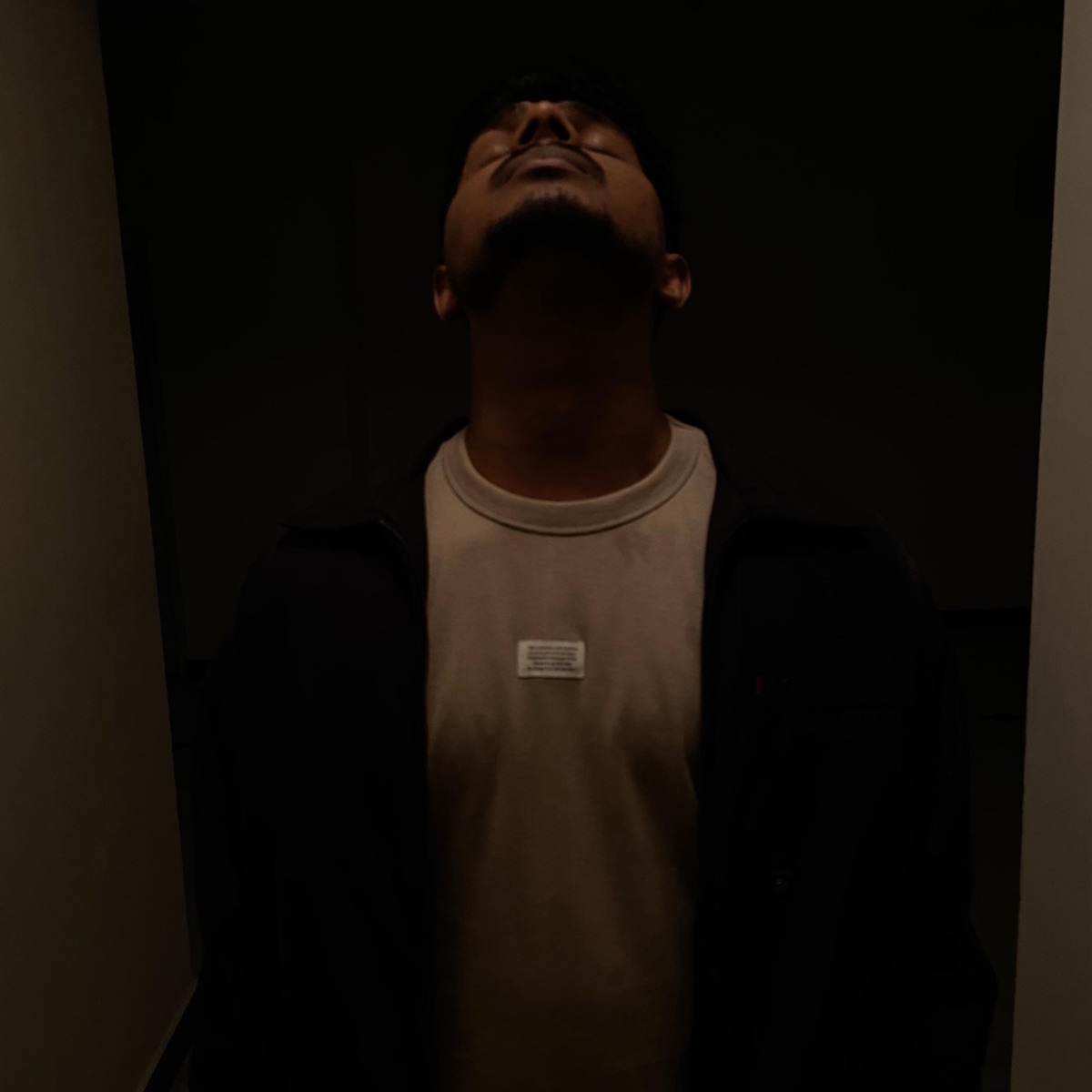 The Secrets (feat. DSZA) - Single by Anantt Nagarkar album cover