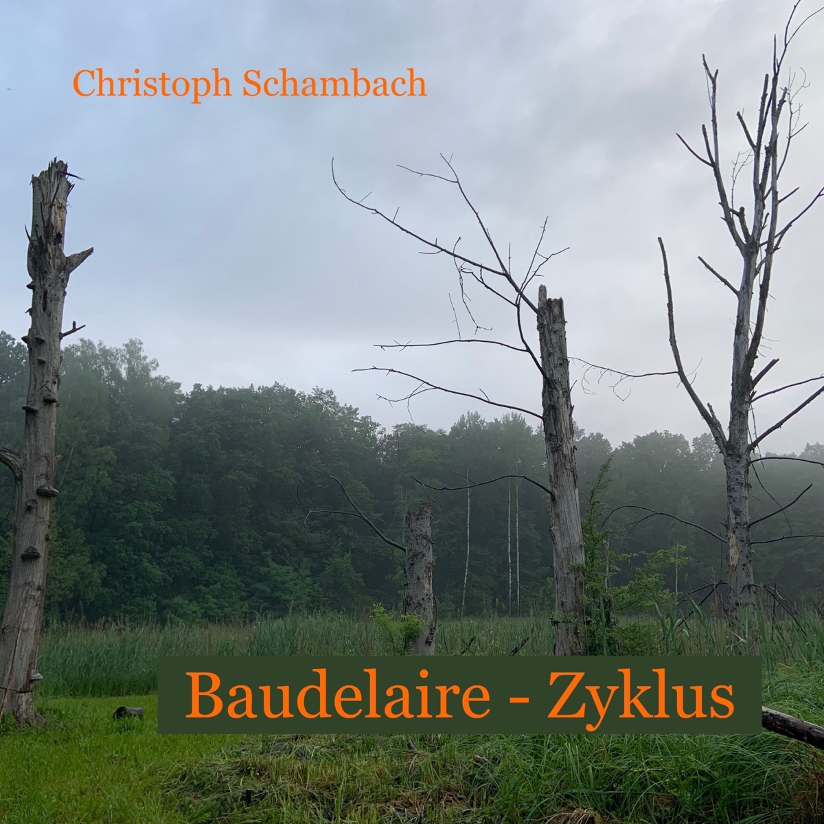 Baudelaire: Zyklus by Streichquartett des Konzerthauses Berlin & Daniel Morgenroth album cover