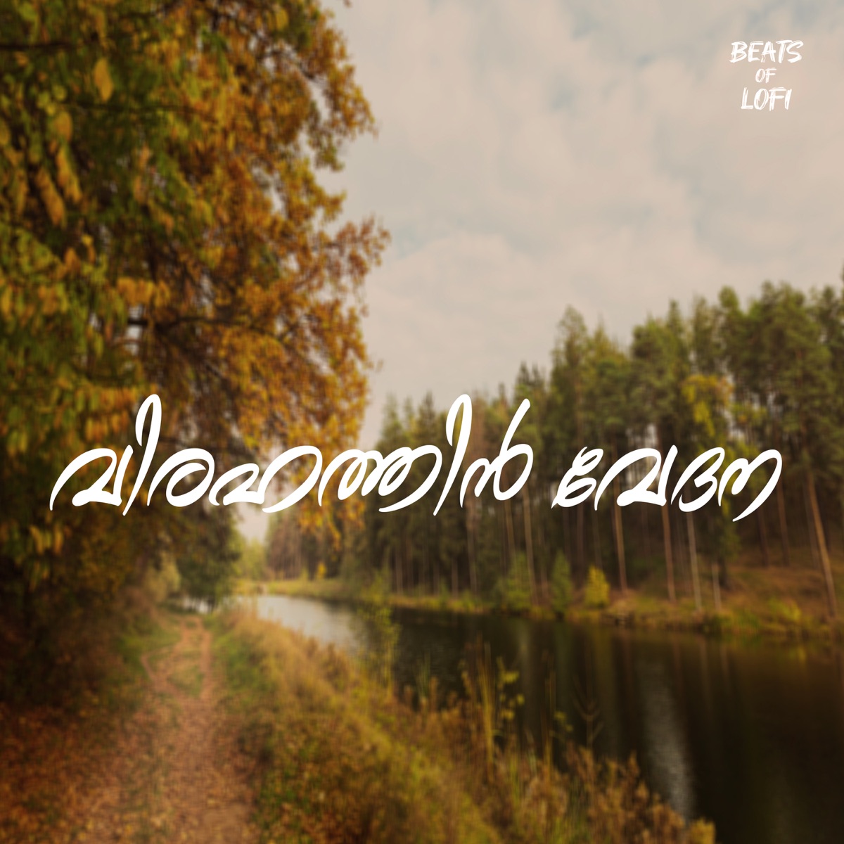 Virahathin (Vox Reverb) - Single by Shafi Kollam album cover