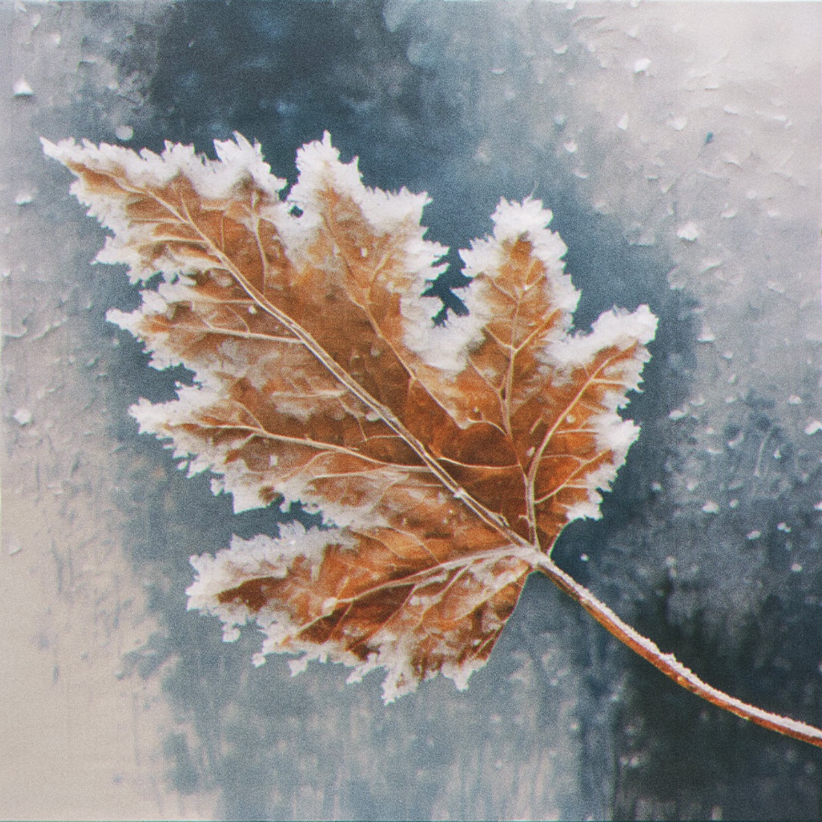 Softly by Claudio Constantini album cover