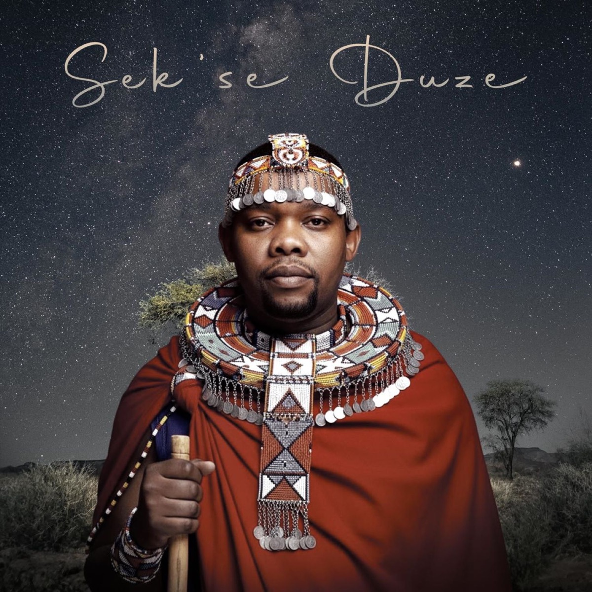 Sek’se Duze (feat. Luu Nineleven & La-Ngwenya) - Single by Njelic & Kaylow album cover