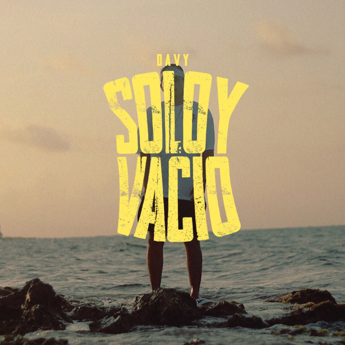 Solo y Vacío - Single by Davy Music album cover