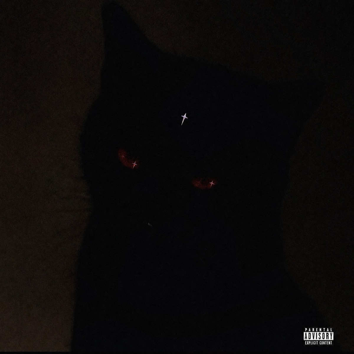 GATA DE MIS MALES - Single by Benz J album cover
