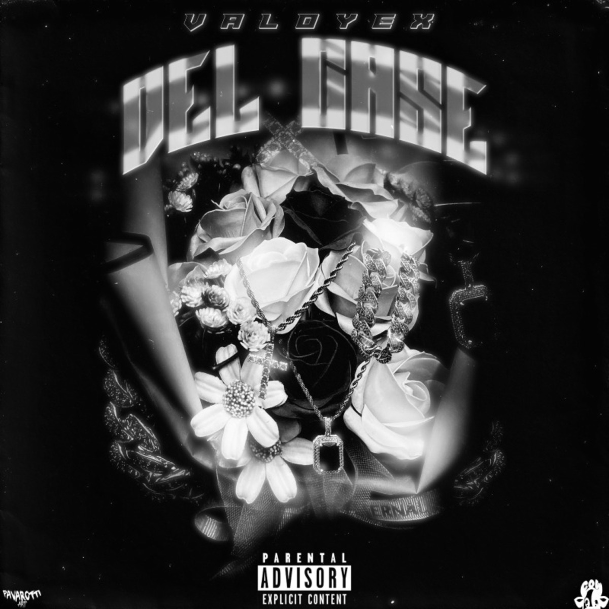 DEL CASE - Single by valoyex & Cow album cover
