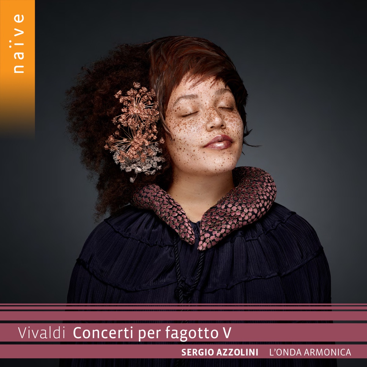 Vivaldi: Concerti per fagotto V by Sergio Azzolini & L'Onda Armonica album cover