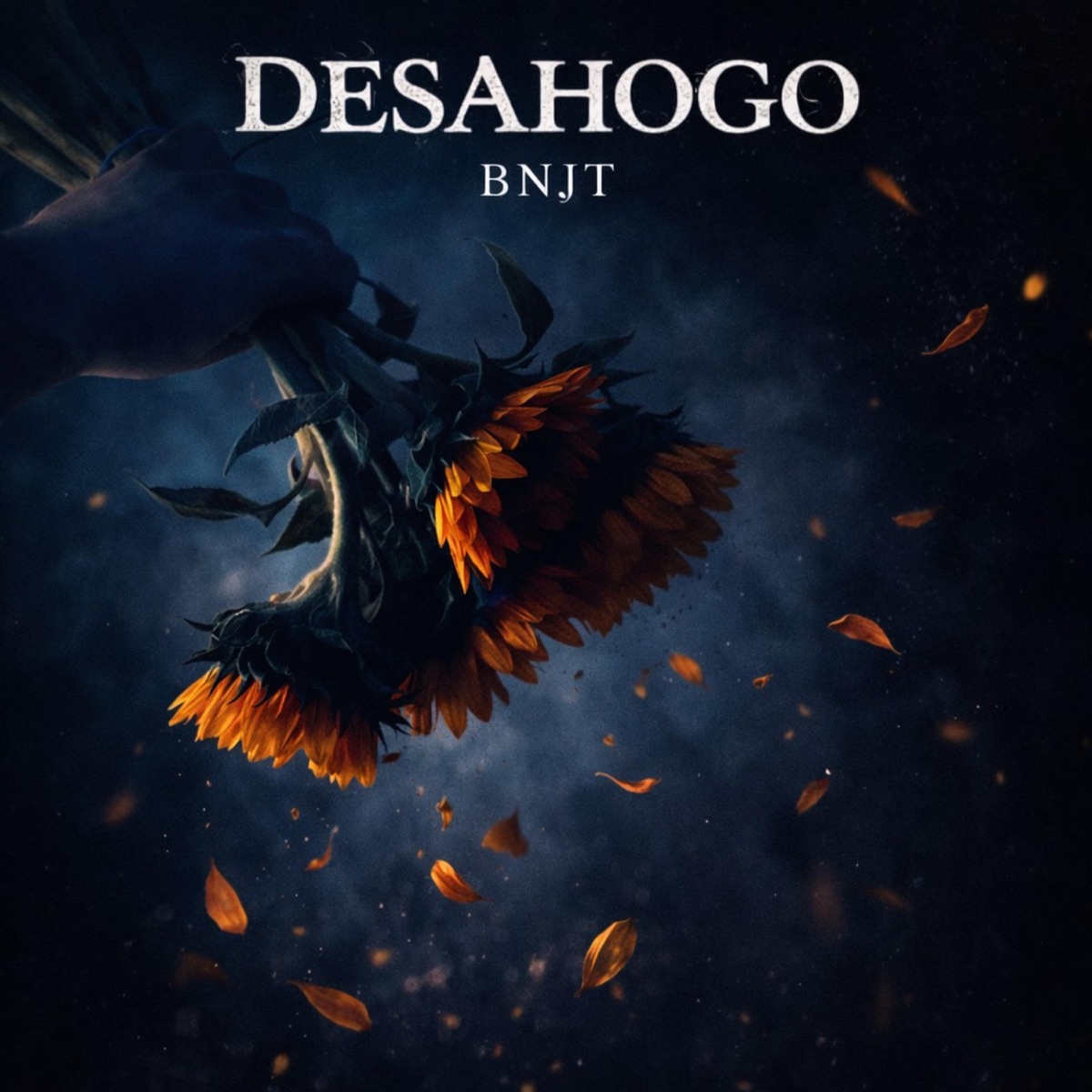 Desahogo - Single by Bnjt album cover
