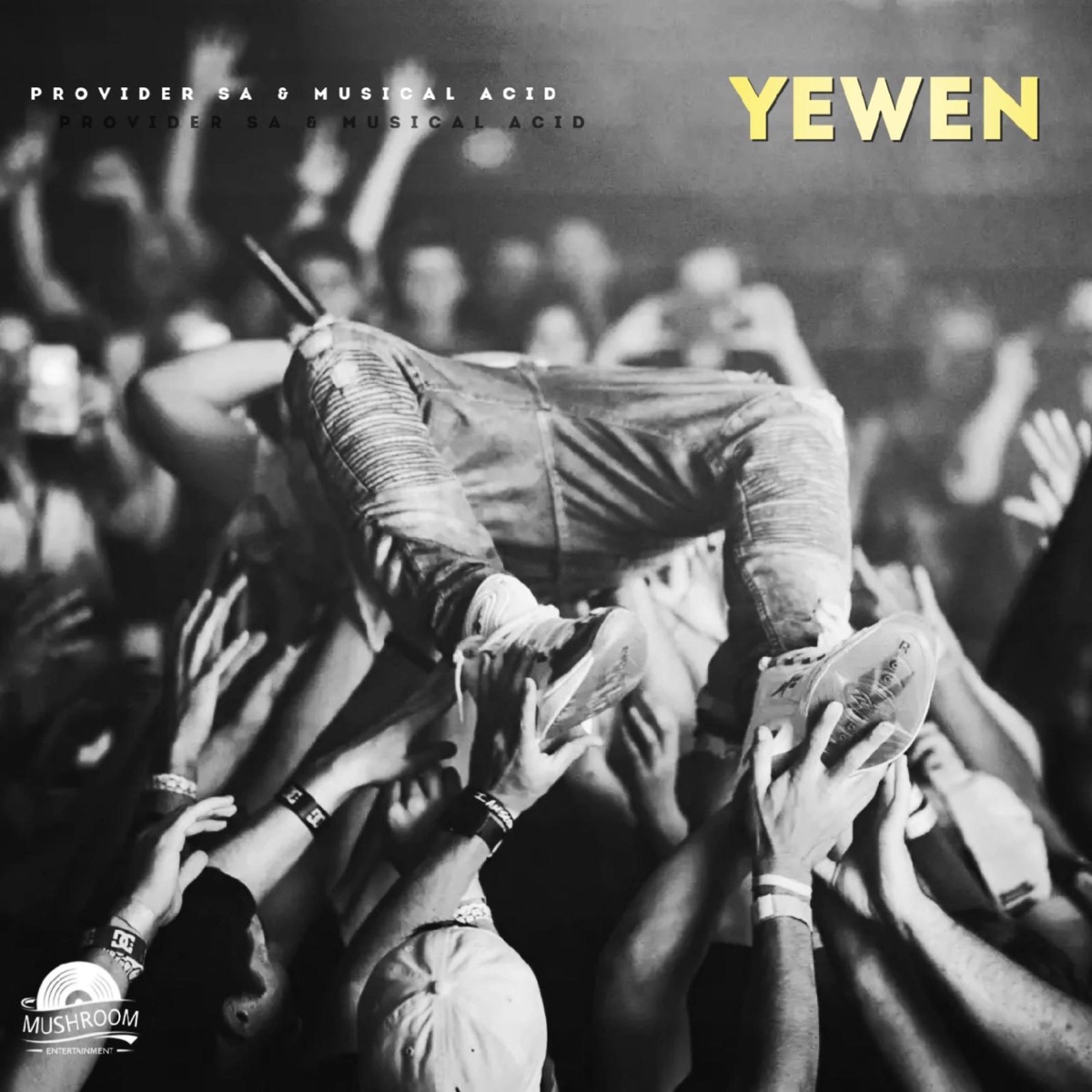 Yewen - Single by Provider SA & Musical Acid album cover