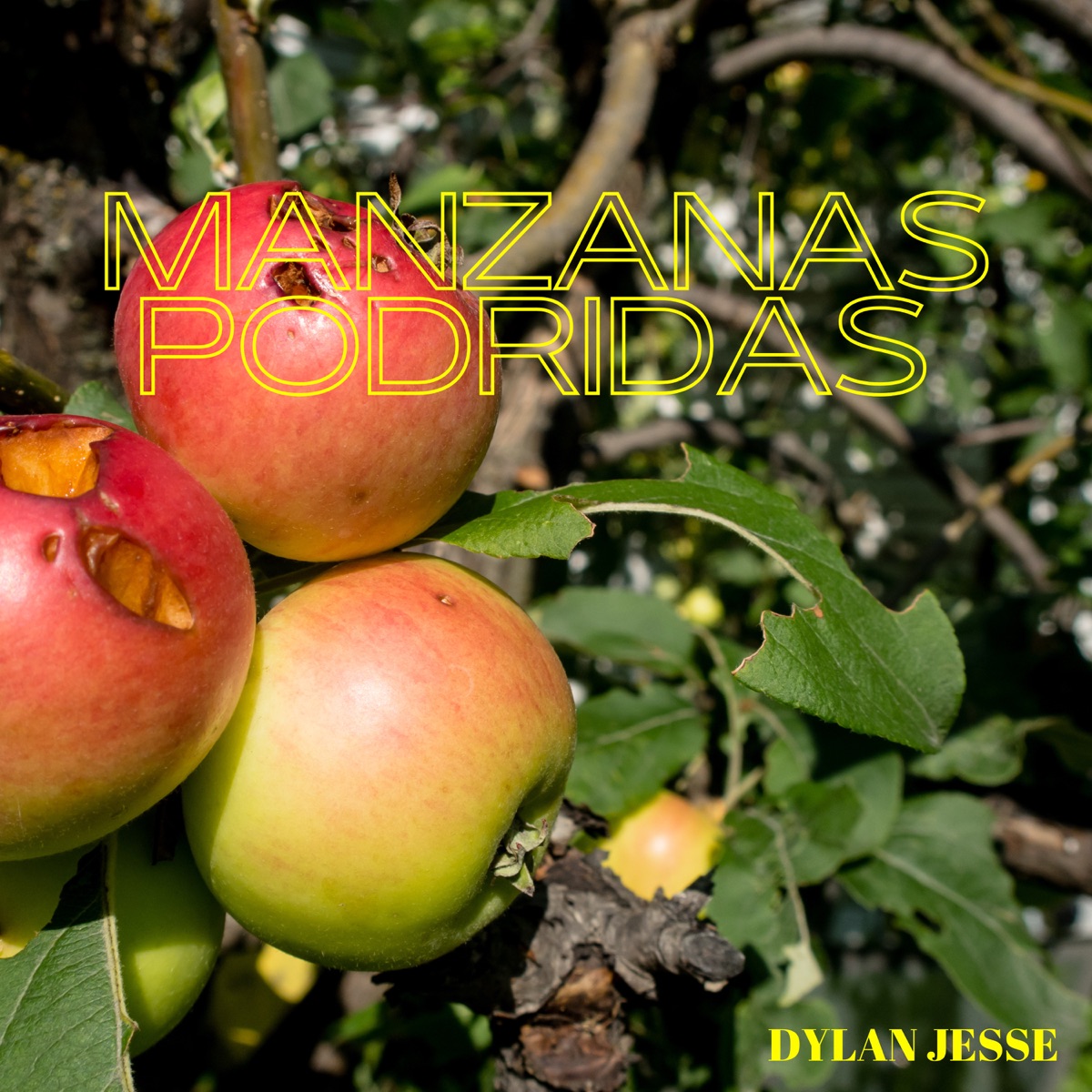Manzanas Podridas - EP by Dylan Jesse album cover