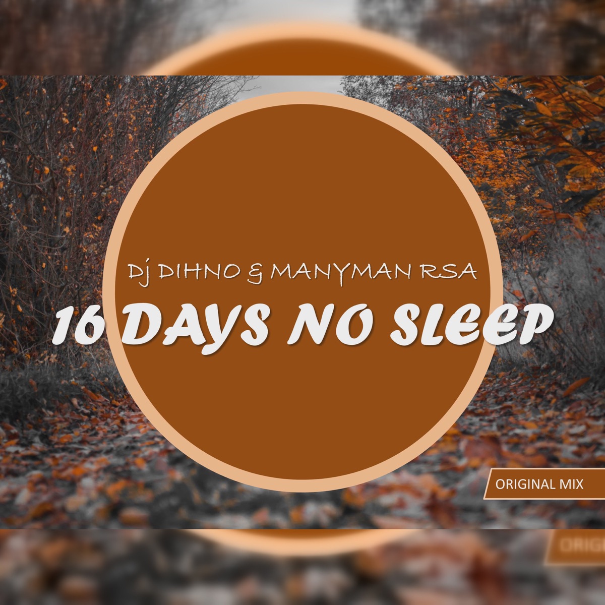 16 Days No Sleep - Single by Dj DIHNO & Manyman RSA album cover