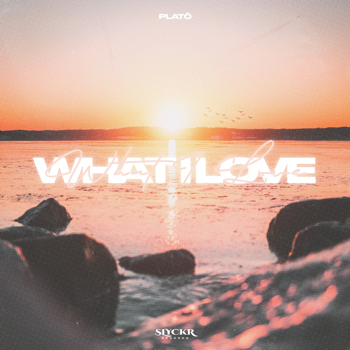 What I Love - Single by platö album cover
