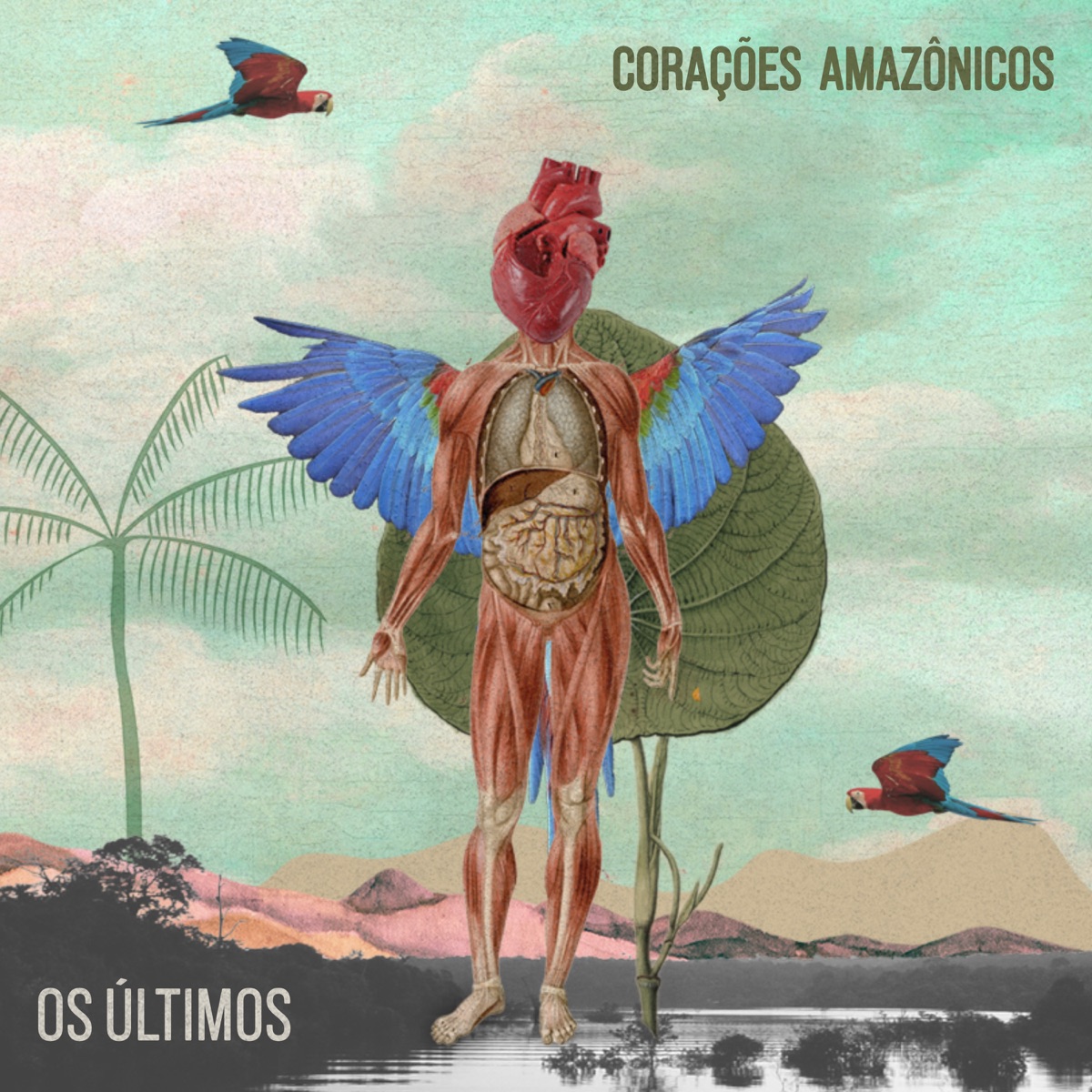 Corações Amazônicos by Os Últimos album cover