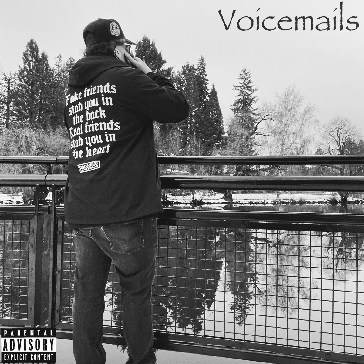 Voicemails (feat. Jaydon) - Single by D!g!t album cover