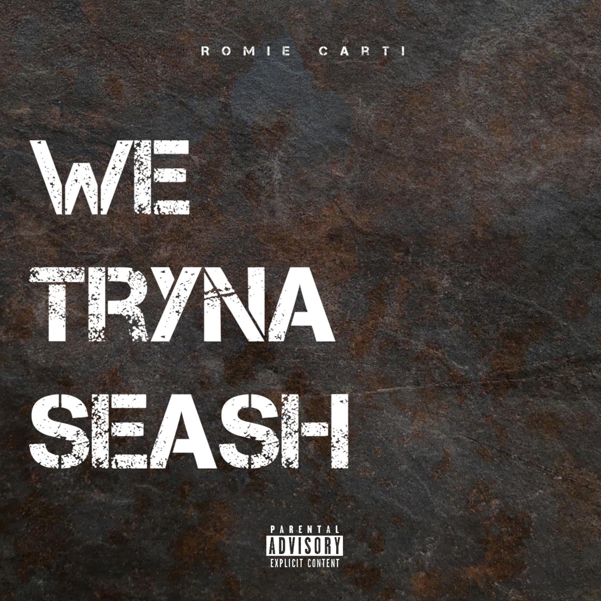 We Tryna Seash - Single by Romie Carti album cover
