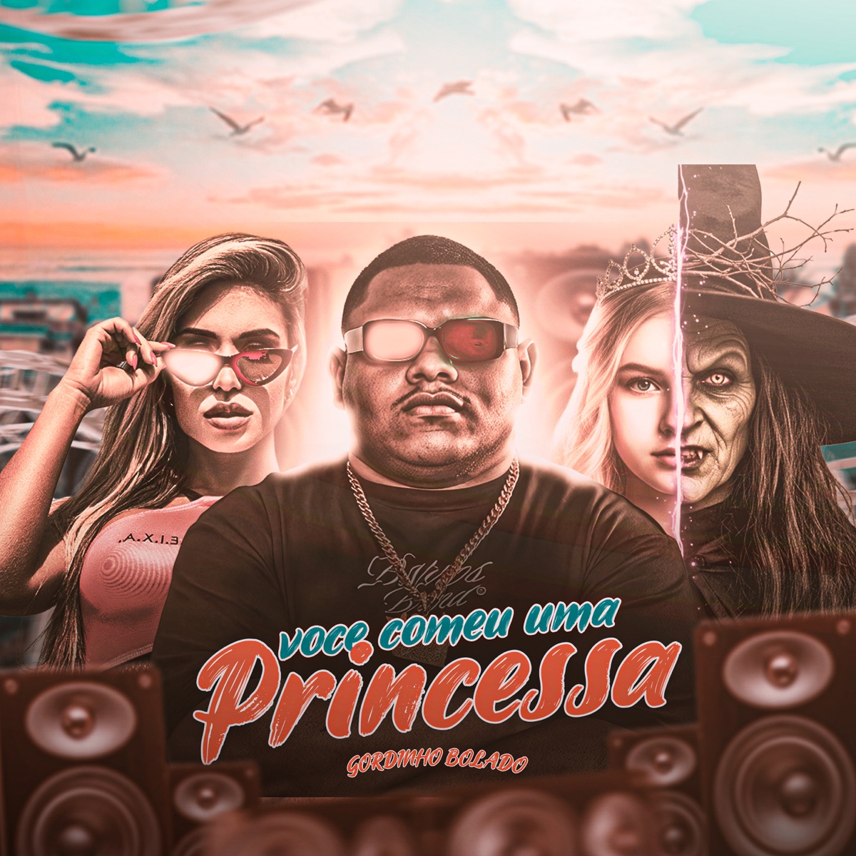 Você Comeu uma Princesa - Single by Gordinho Bolado album cover
