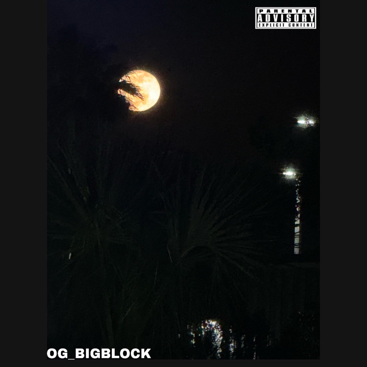 Old Friends - Single by OGBigblock album cover
