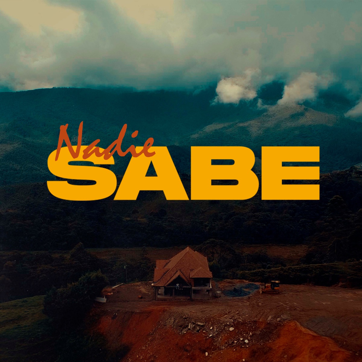 Nadie Sabe - Single by Maradonny & Mc Kno album cover