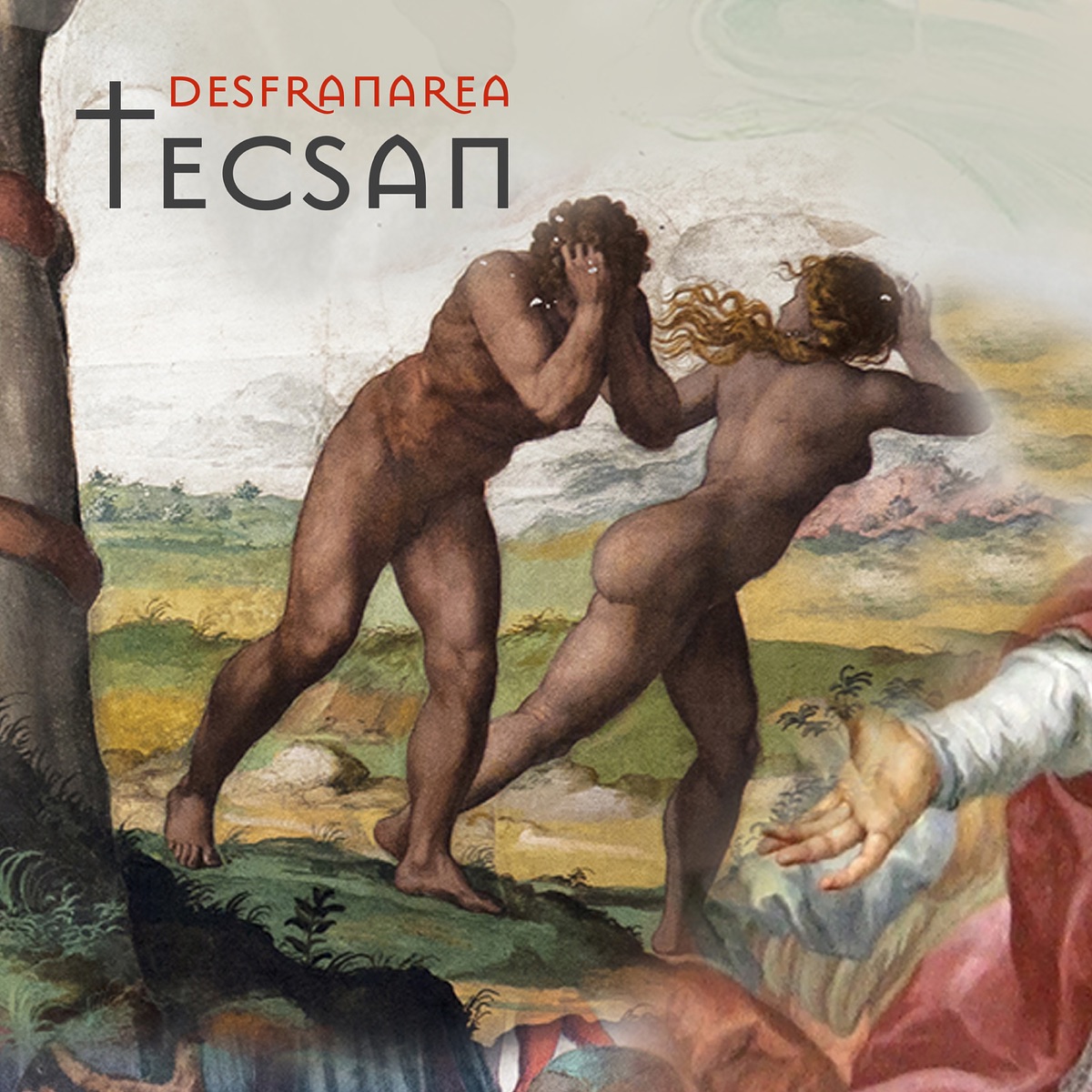 Desfranarea - Single by Tecşan album cover