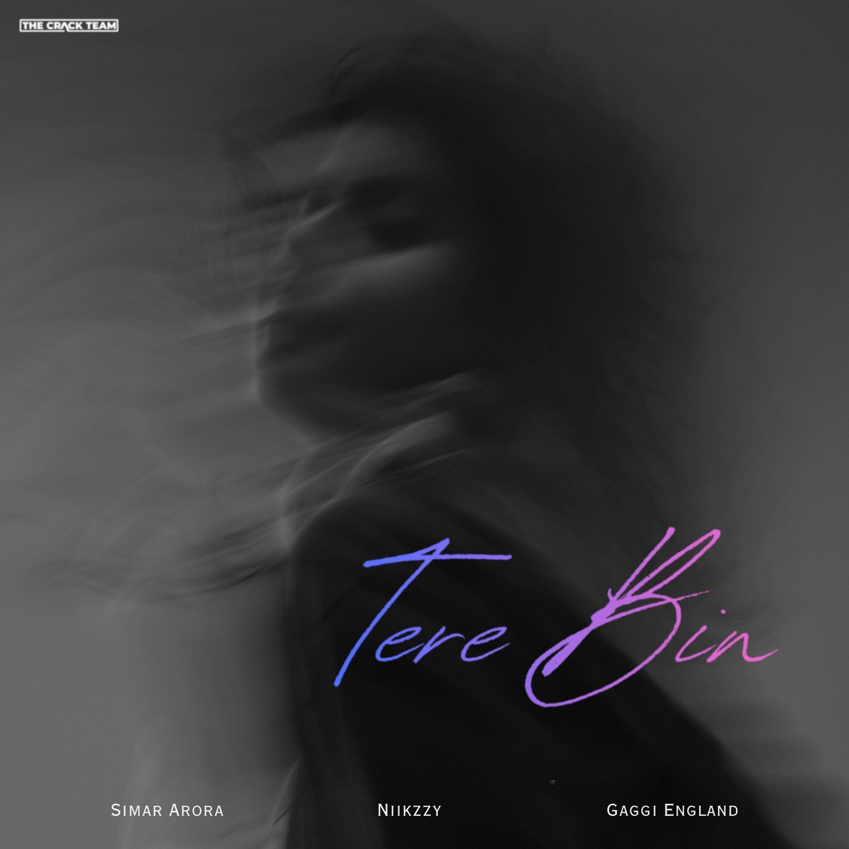 Tere Bin - Single by Simar Arora, Niikzzy & Gaggi England album cover