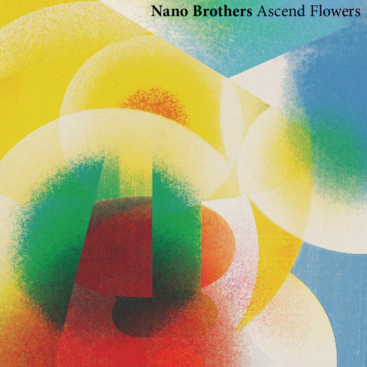 Ascend Flowers by Nano Brothers, Johannes Ludwig & Jürgen Friedrich album cover