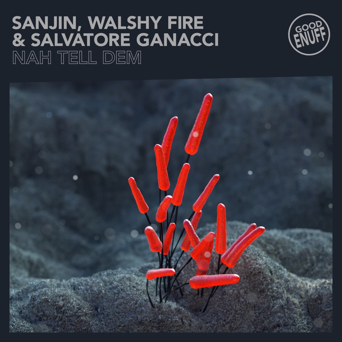 Nah Tell Dem - Single by Sanjin, Walshy Fire & Salvatore Ganacci album cover