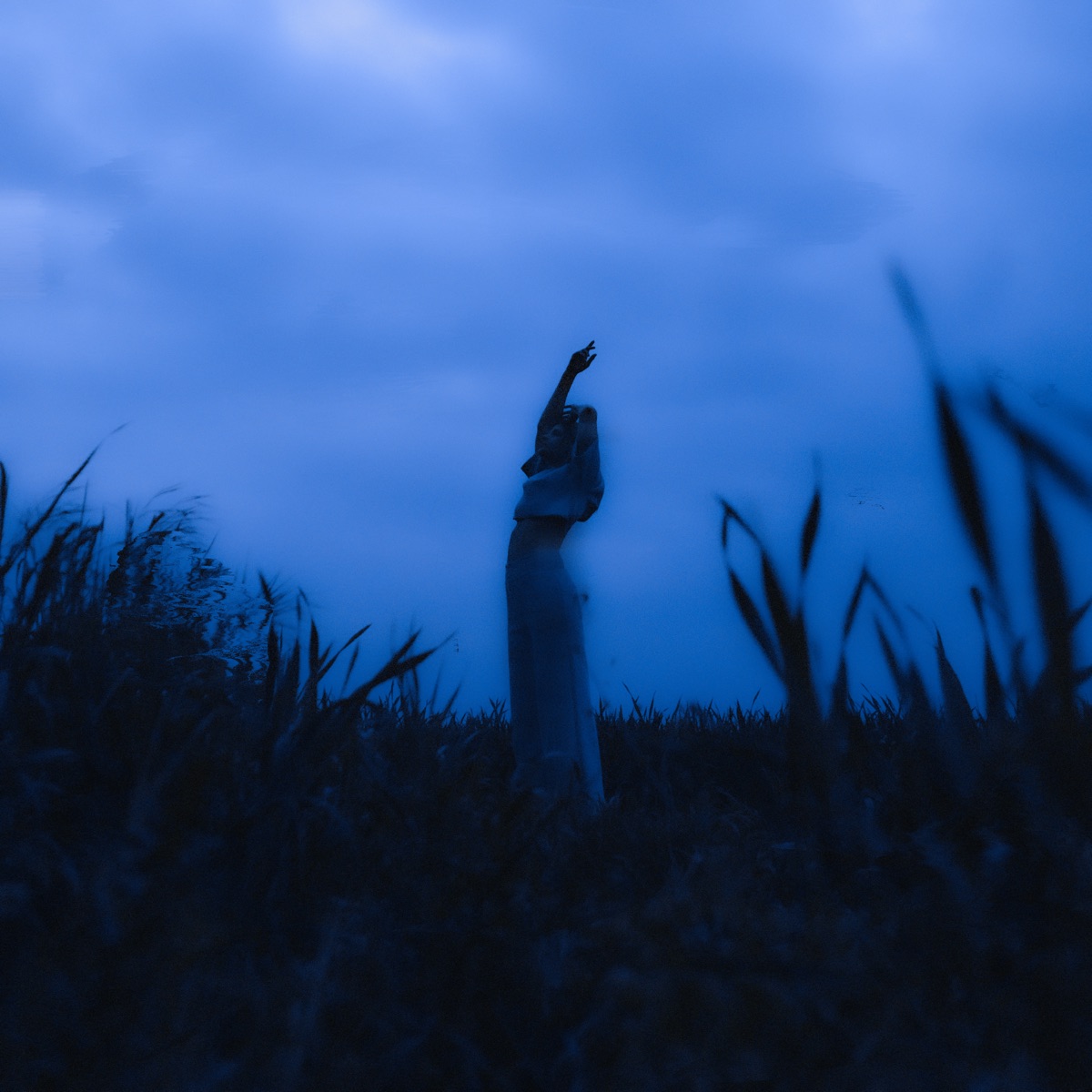 Dreamscape by Øneheart album cover