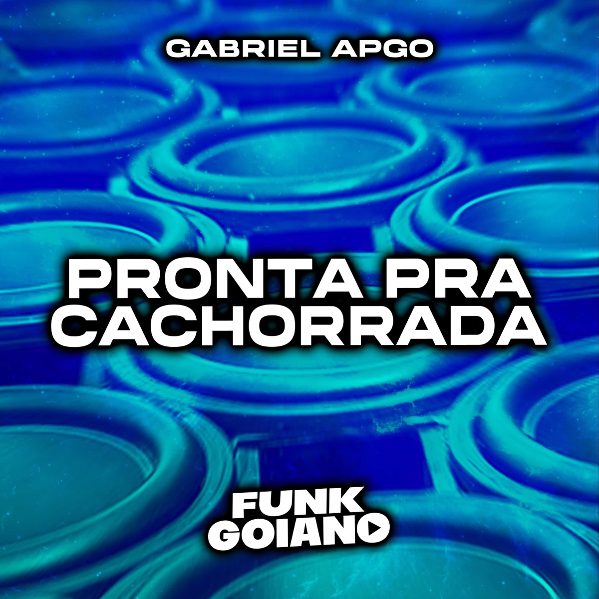 Pronta Pra Cachorrada (Eletro Funk Desande Remix) - Single by GABRIEL APGO & FUNK GOIANO album cover
