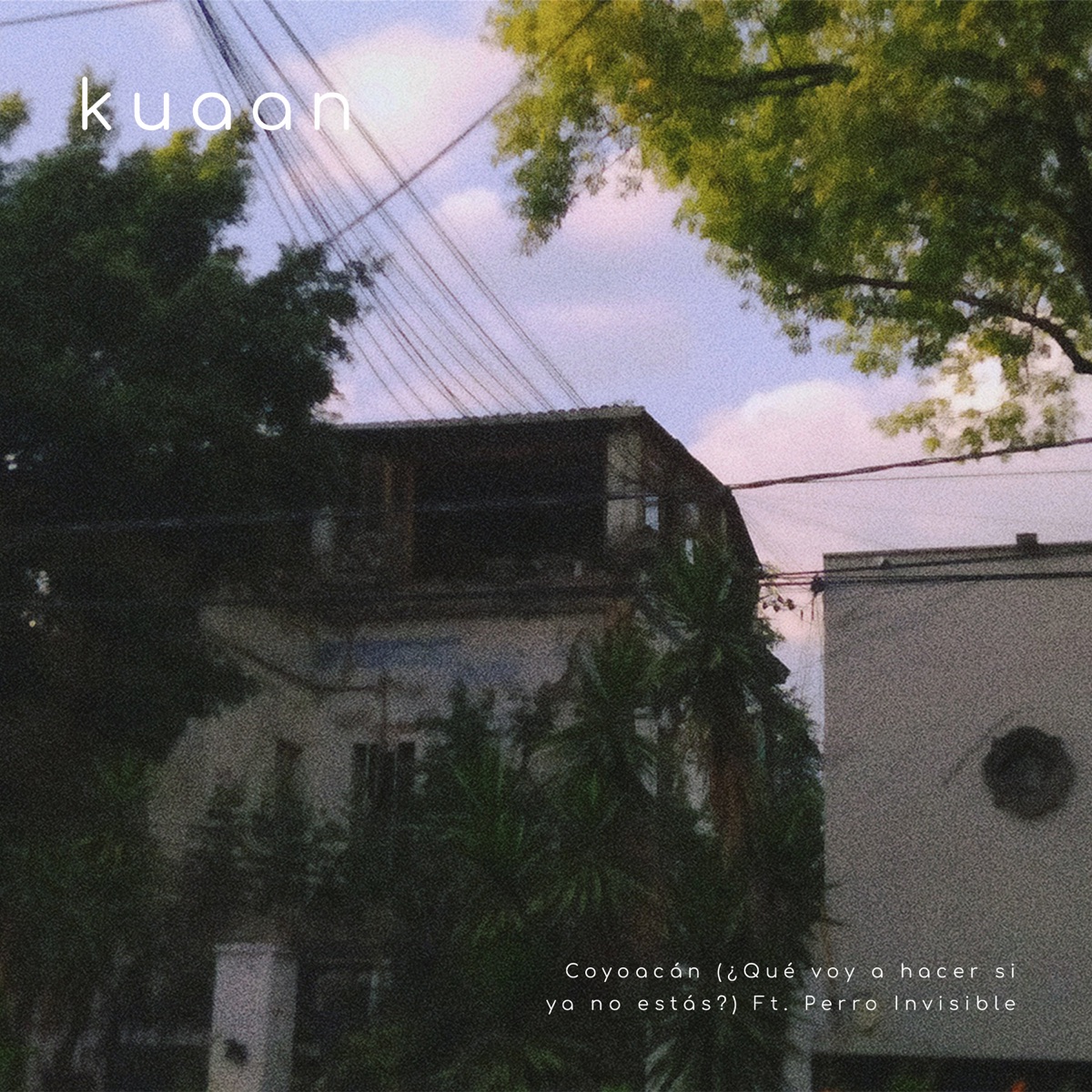 Coyoacán (¿Qué Voy A Hacer Si Ya No Estás?) (feat. Perro invisible) - Single by Kuaan album cover