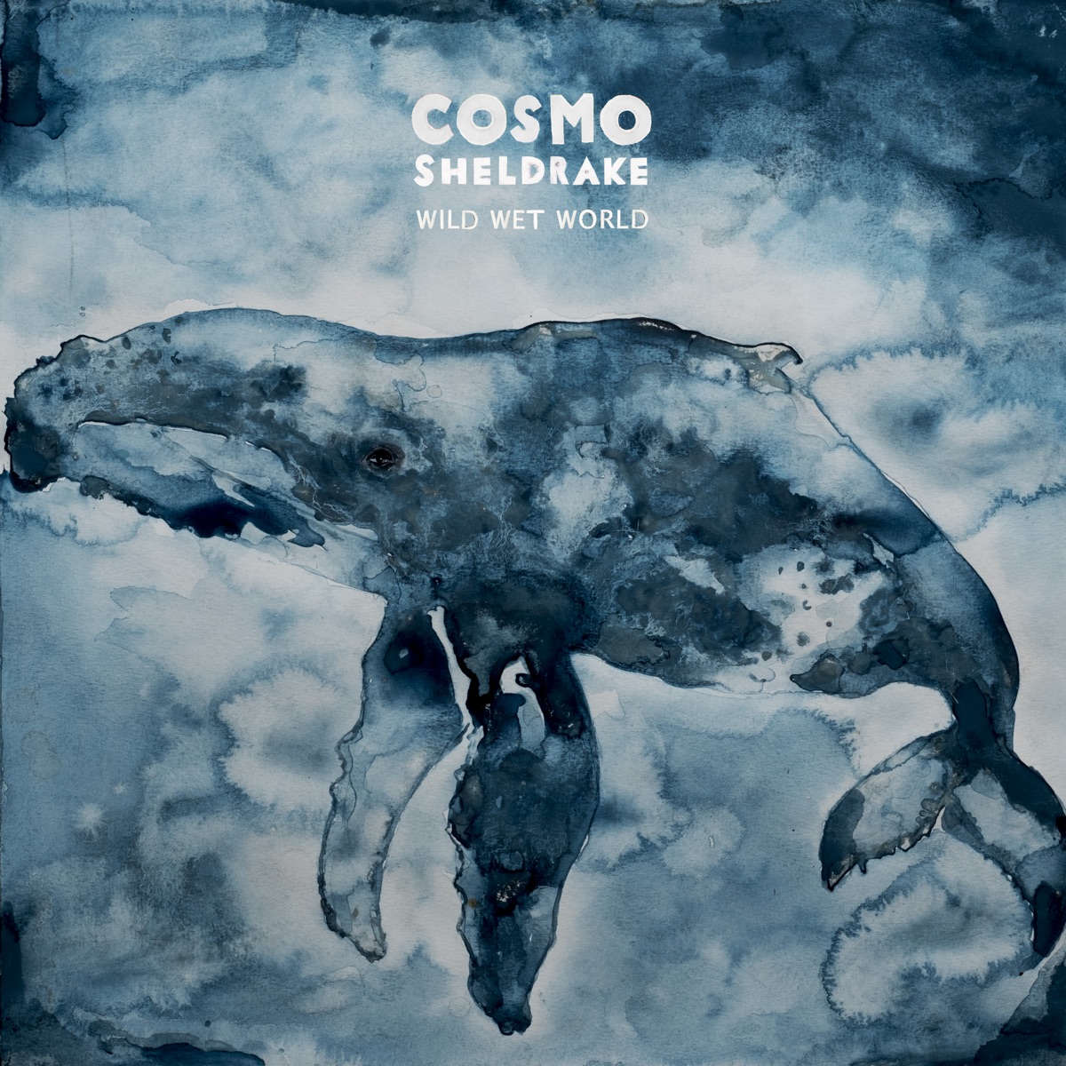 Wild Wet World by Cosmo Sheldrake album cover