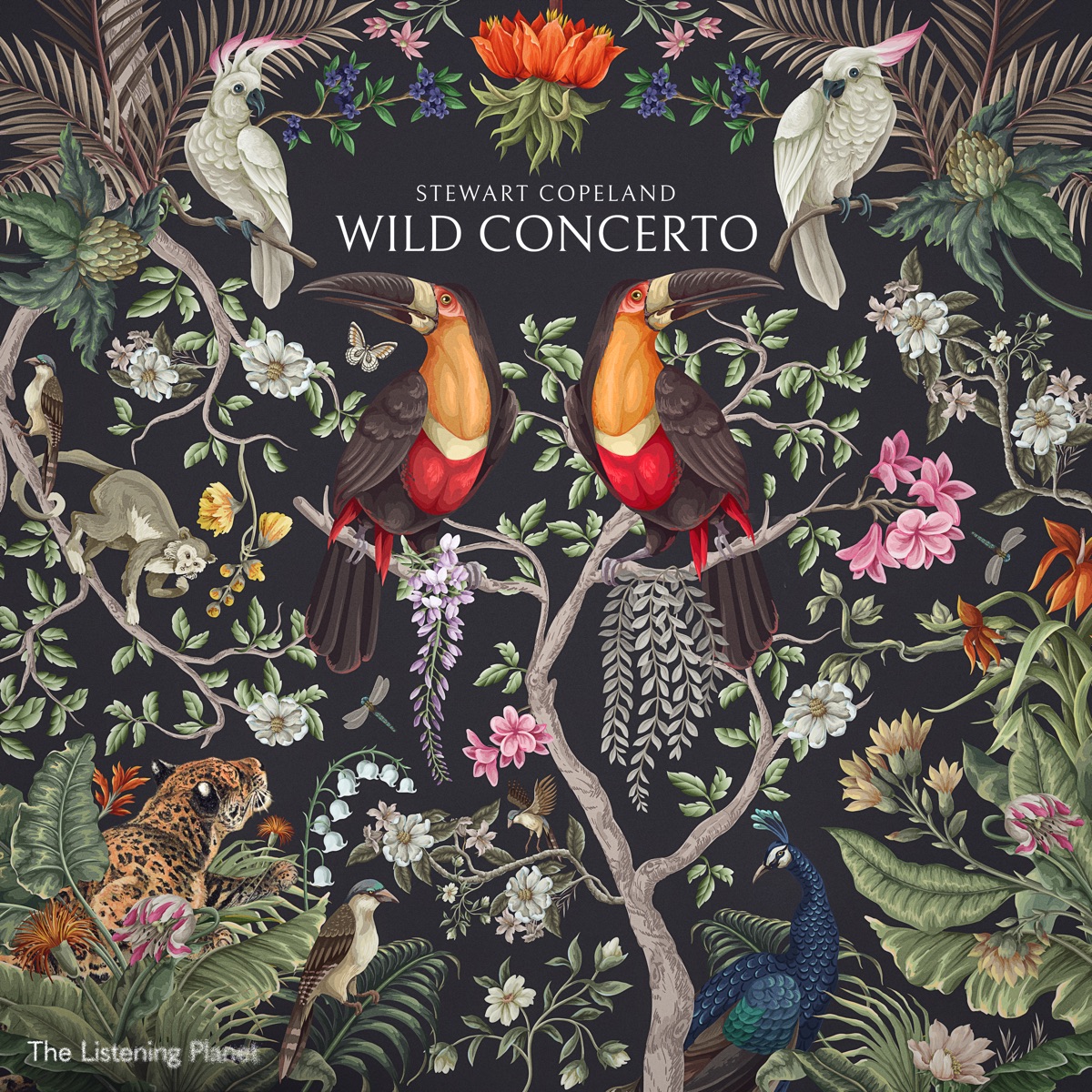 Stewart Copeland: Wild Concerto by Stewart Copeland, Kingdom Orchestra, Troy Miller & The Listening Planet album cover