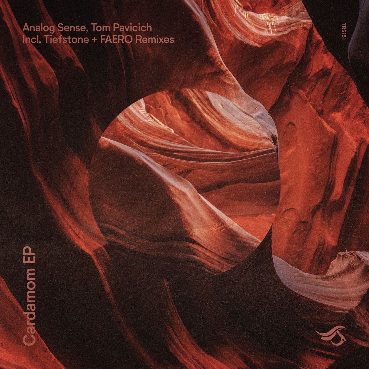 Cardamom - Single by Tom Pavicich & Analog Sense album cover
