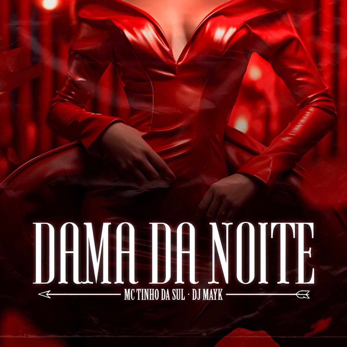 Dama da Noite - Single by MC Tinho da Sul & DJ Mayk album cover