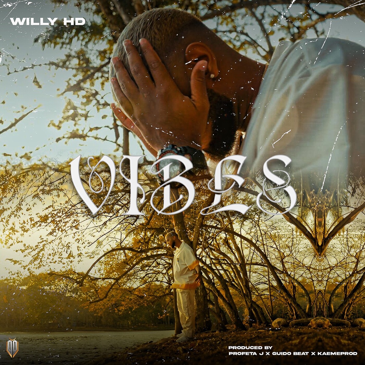 vibes - Single by Willy Hd album cover