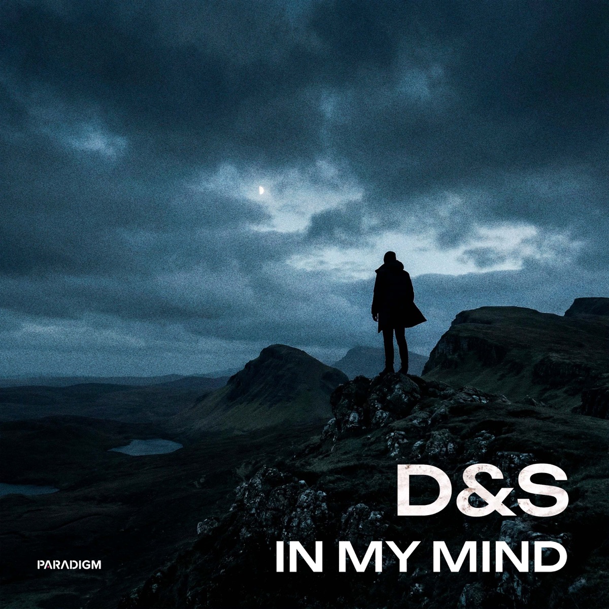 In My Mind - Single by D&S album cover