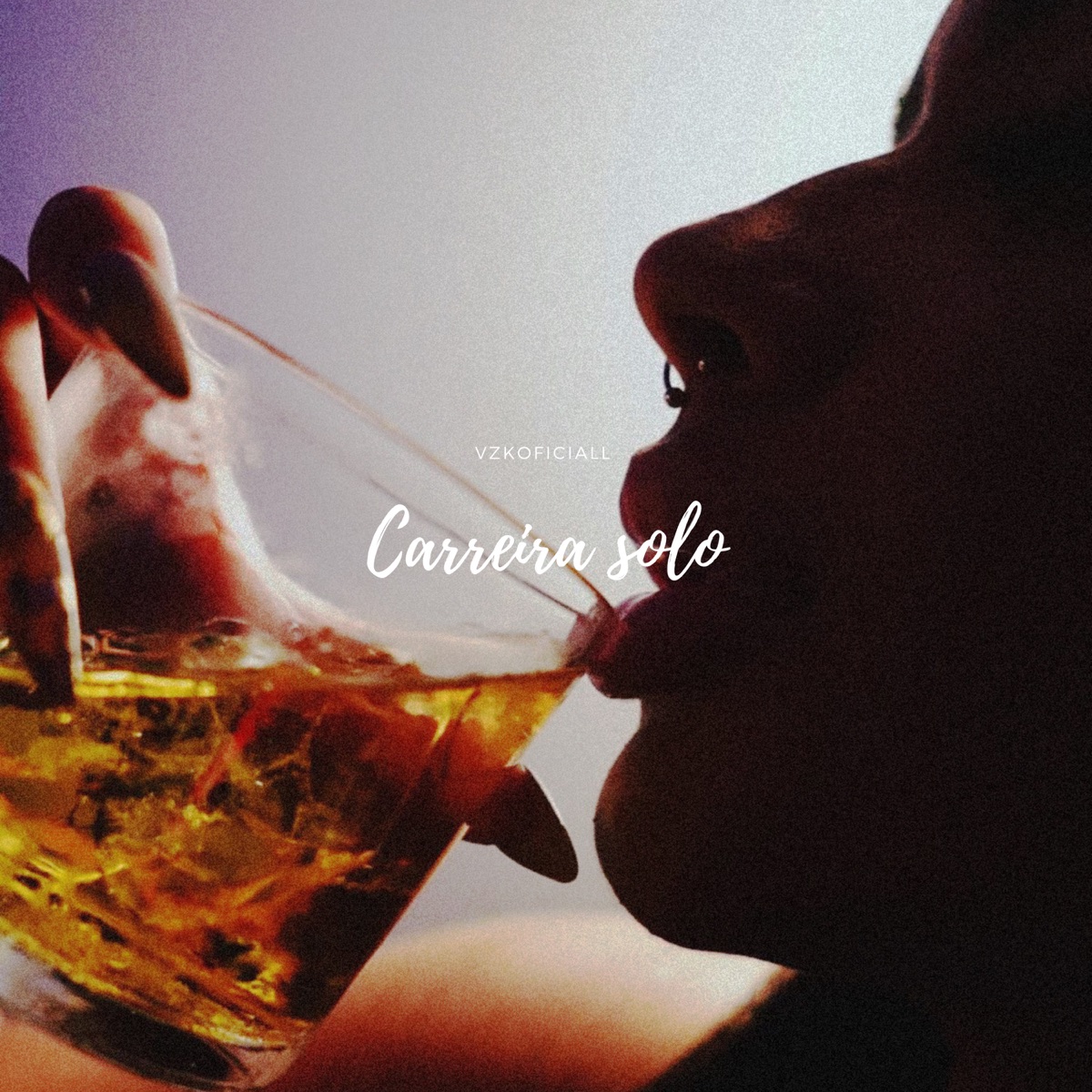 Carreira Solo - Single by Vzkoficiall & Mc 3k album cover