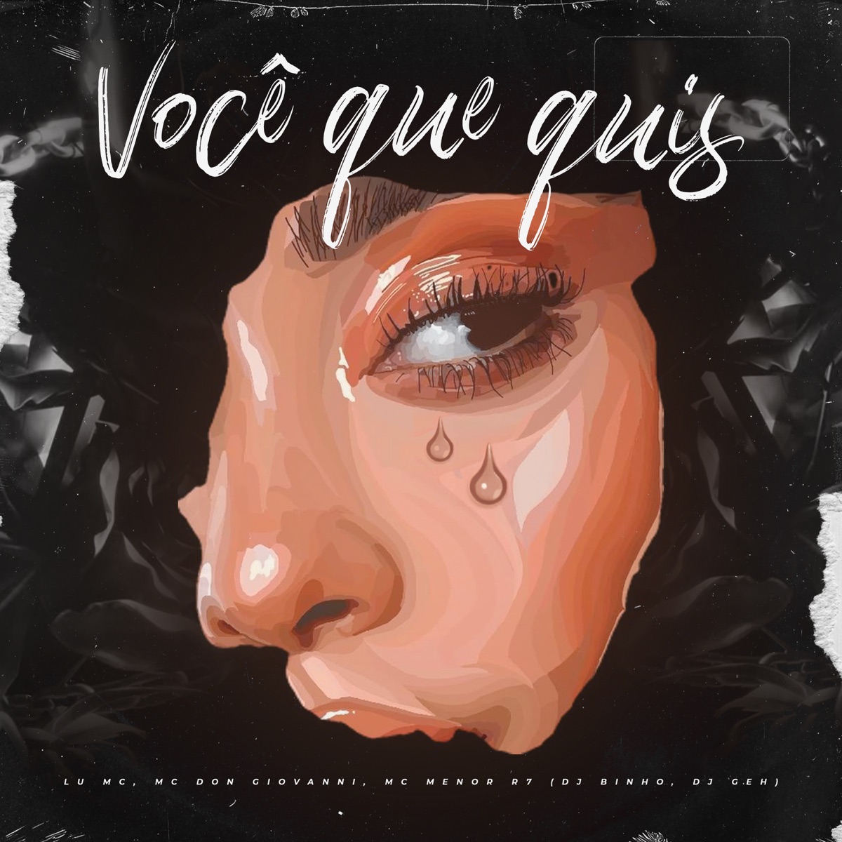 Você Que Quis - Single by Mc Menor R7, Mc Don Giovanni & Lu MC album cover