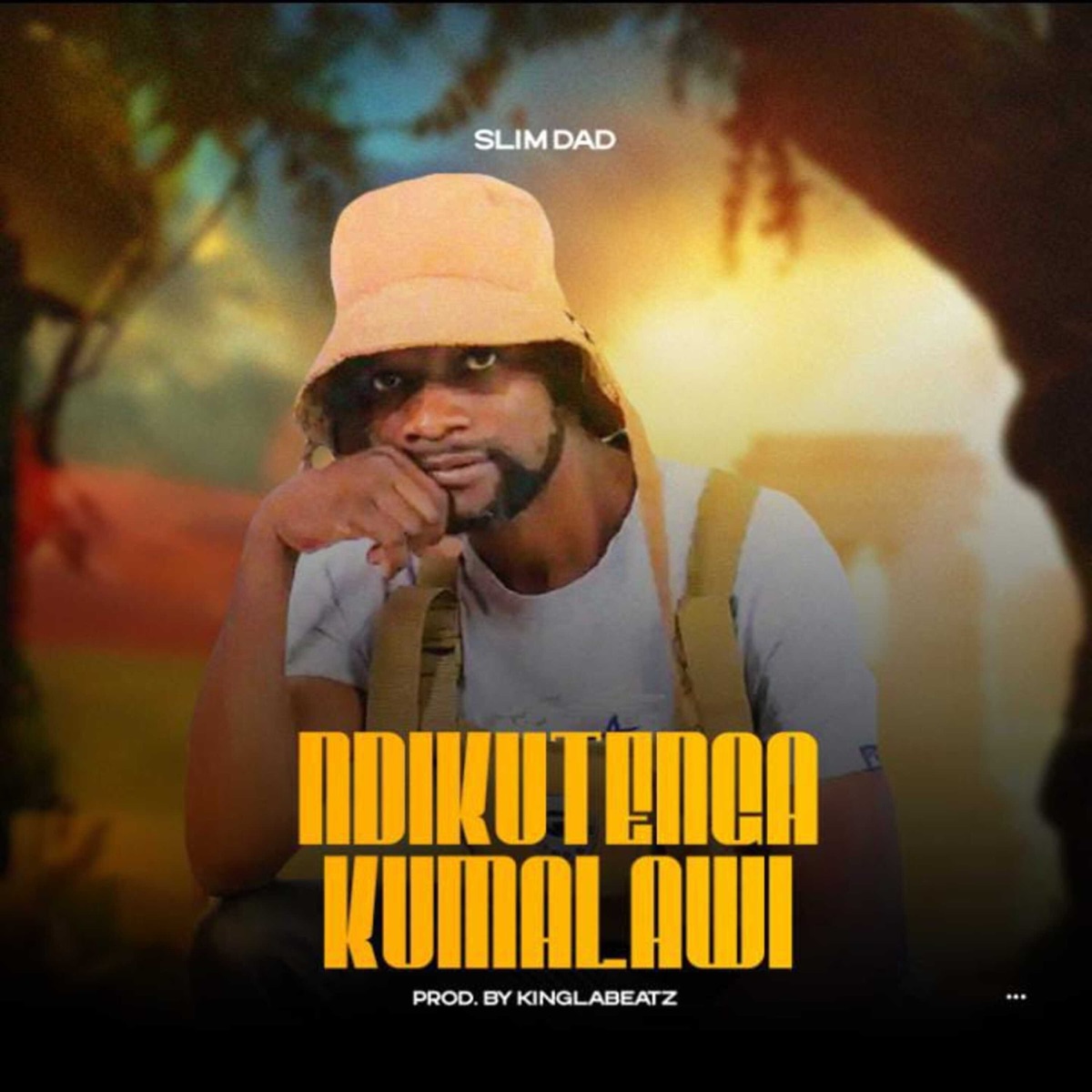 Ndikutenga Kumalawi - Single by Slim Dad album cover