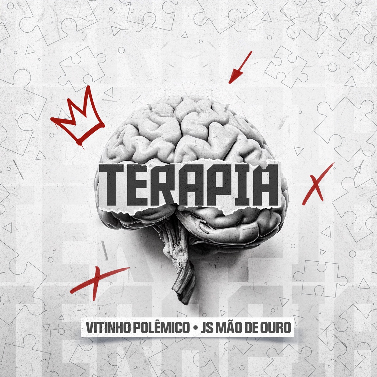 Terapia - Single by Vitinho Polêmico album cover